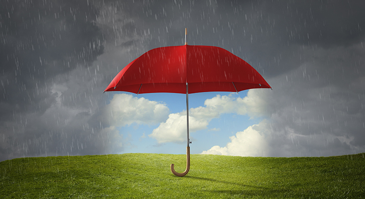 Red umbrella protecting grass from rain